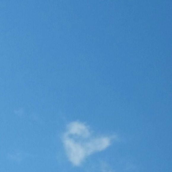 Meet your Posher, Harmony - Picture 1 of 1